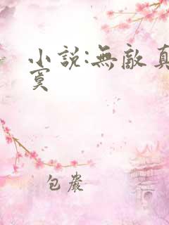 小说:无敌真寂寞