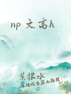 np 文高h