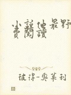 小说他最野了免费阅读