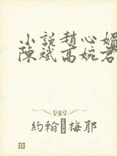 小说赵心媚主角陈斌高婉君