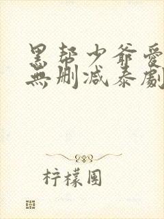 黑帮少爷爱上我无删减泰剧