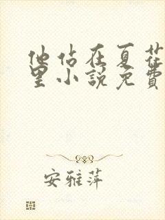 他站在夏花绚烂里小说免费阅读全文在线