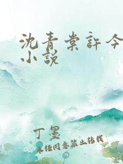 沈青棠许今野 小说