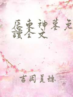 辰东神墓免费阅读全文