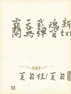 霸天武魂新笔趣阁无弹窗txt