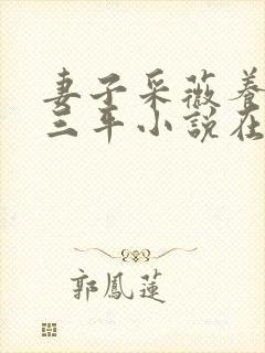 妻子采薇养父陆三平小说在人间