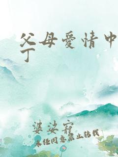 父母爱情中的老丁
