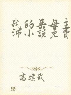 我的岳母主角苏沛小说免费阅读