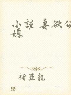 小说 妻欲公与媳