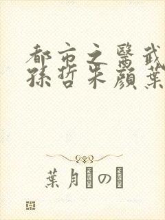 都市之医武风流孙哲朱颜叶巧