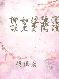 柳如烟陈泽的小说免费阅读