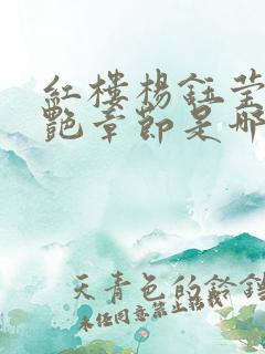 红楼杨钰莹的惊艳章节是哪部小说