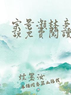 宗景灏林辛言小说免费阅读最新章节