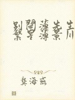 别闹薄先生(沈繁星薄景川)