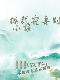 总裁宠妻别太坏 小说