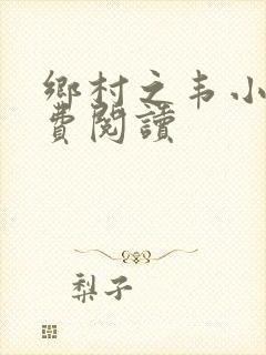 乡村之韦小宝免费阅读