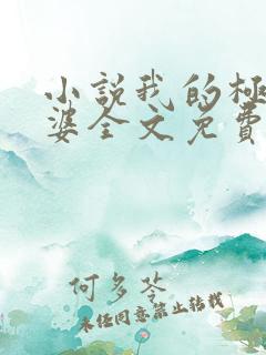 小说我的极品老婆全文免费阅读