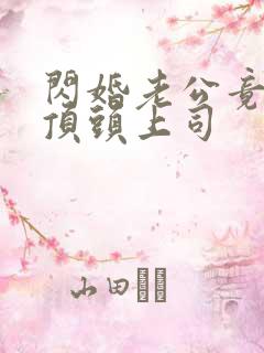 闪婚老公竟然是顶头上司