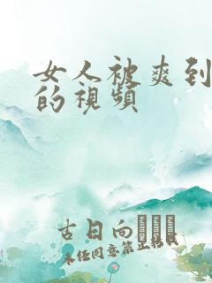 女人被爽到高潮的视频