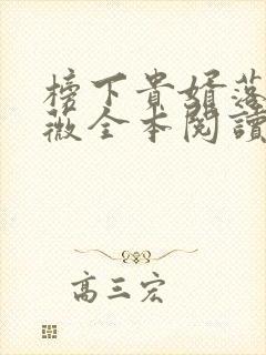 榜下贵婿落日蔷薇全本阅读