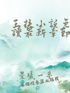 王扶小说免费阅读最新章节无弹窗