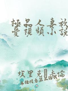极品人妻放荡爱爱视频小说