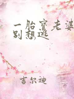 一胎宝老婆大人别想逃