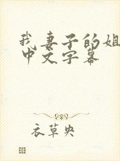 我妻子的姐姐2中文字幕