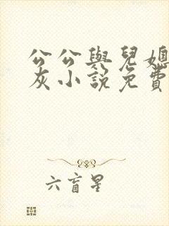 公公与儿媳妇扒灰小说免费阅读