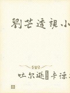刘芒透视小神医