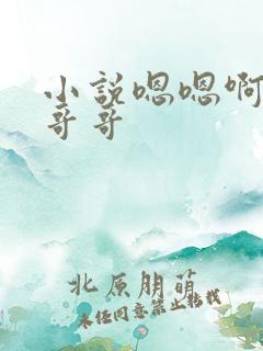 小说嗯嗯啊啊喔哥哥