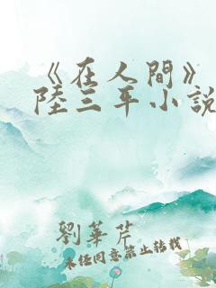 《在人间》采薇陆三平小说