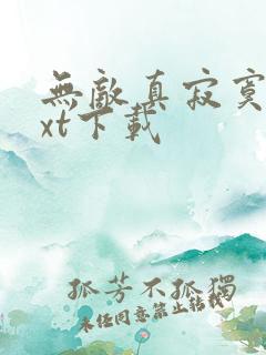 无敌真寂寞 txt下载