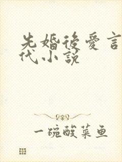 先婚后爱言情现代小说