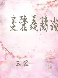 良陈美锦小说全文在线阅读