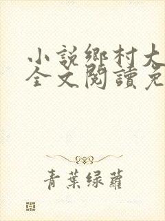 小说乡村大凶器全文阅读免费