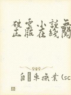 破云小说无删减正版在线阅读