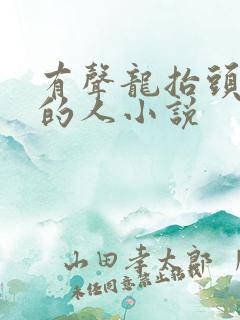 有声龙抬头抚琴的人小说