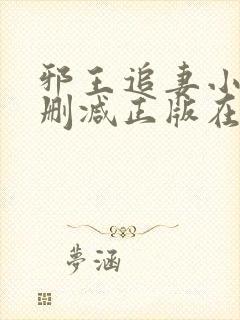 邪王追妻小说无删减正版在线阅读