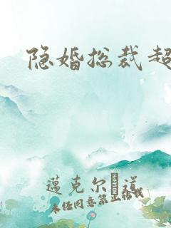 隐婚总裁超级宠