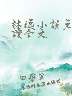 林逸小说免费阅读全文