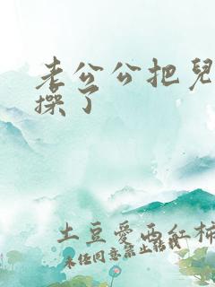 老公公把儿媳妇操了