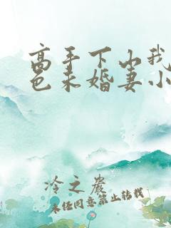 高手下山我的绝色未婚妻小说