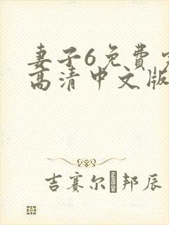 妻子6免费完整高清中文版电视剧