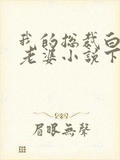 我的总裁白富美老婆小说下载