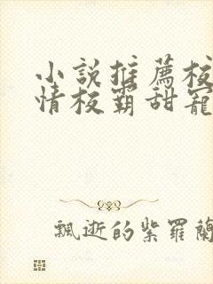 小说推荐校园言情校霸甜宠