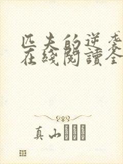 匹夫的逆袭小说在线阅读全文