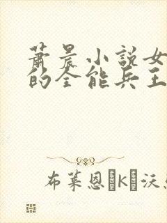 萧晨小说女总裁的全能兵王