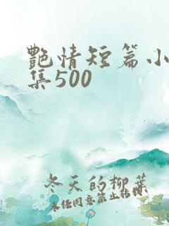 艳情短篇小说合集500