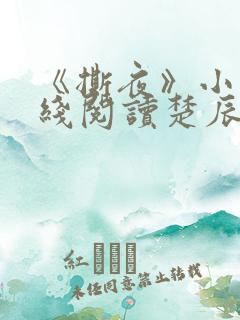 《撕夜》小说在线阅读楚辰安